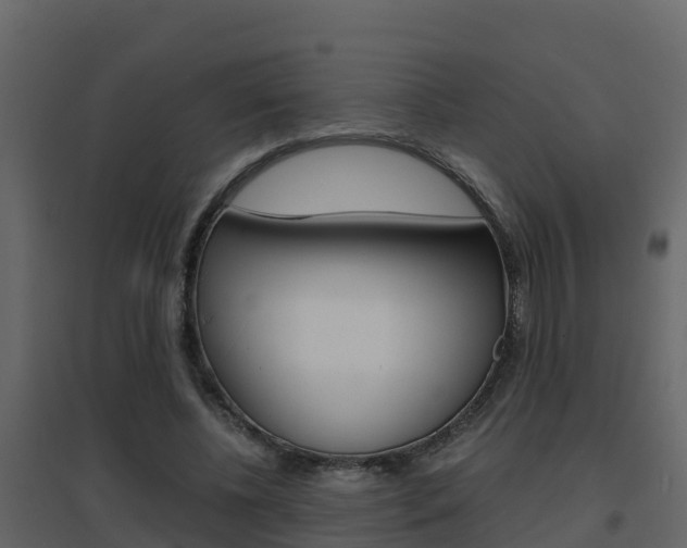 X0000096700540200802051103