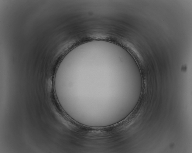 X0000096700541200802051103