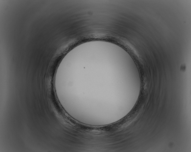 X0000096700542200802051103