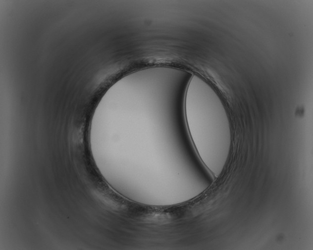 X0000096700543200802051103