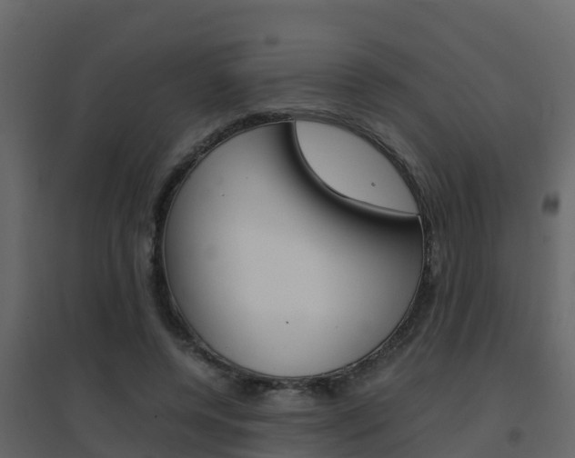 X0000096700544200802051103