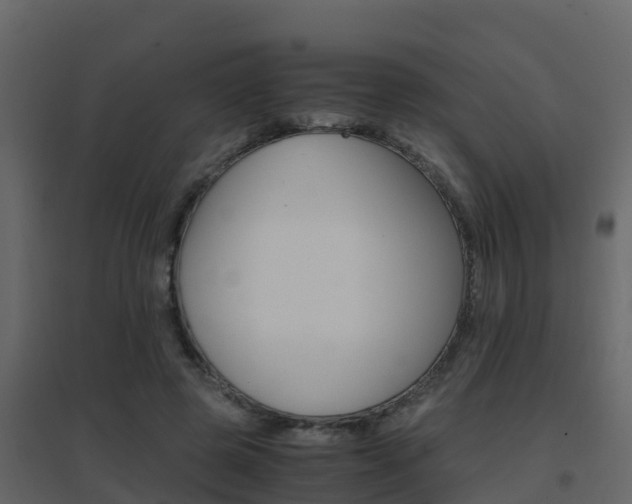 X0000096700545200802051103