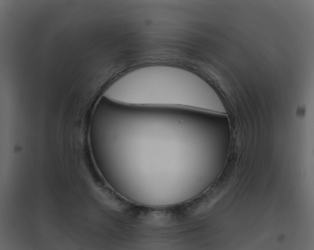 X0000096700546200802051103
