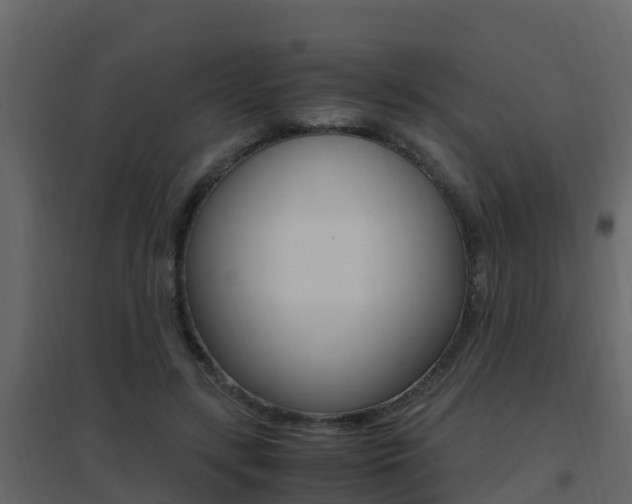 X0000096700547200802051103