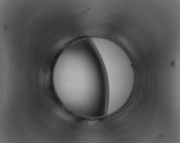X0000096700548200802051103