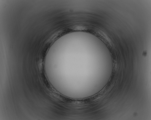 X0000096700549200802051103