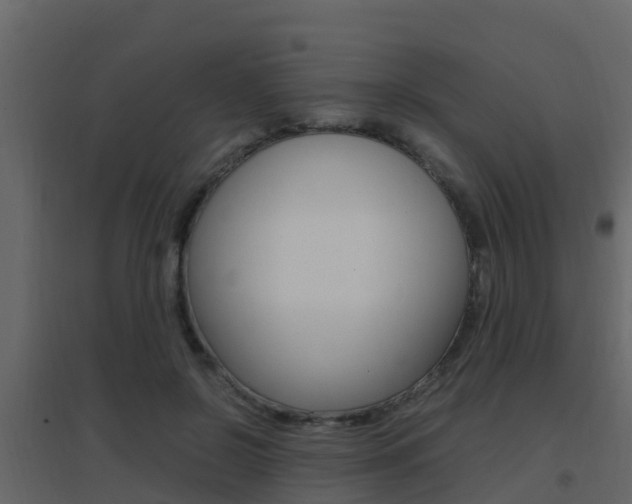 X0000096700550200802051103