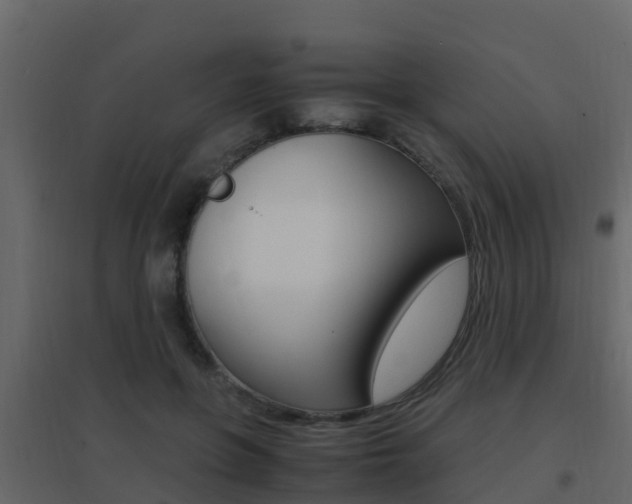 X0000096700551200802051103