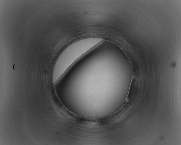 X0000096700552200802051103