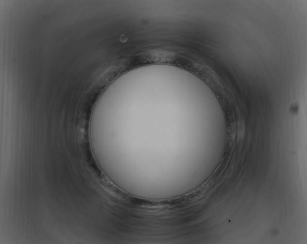 X0000096700553200802051103