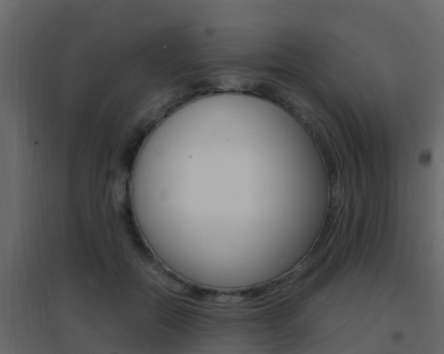X0000096700554200802051103