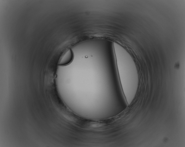 X0000096700555200802051103