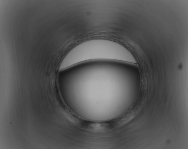 X0000096700558200802051103