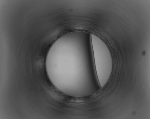 X0000096700559200802051103