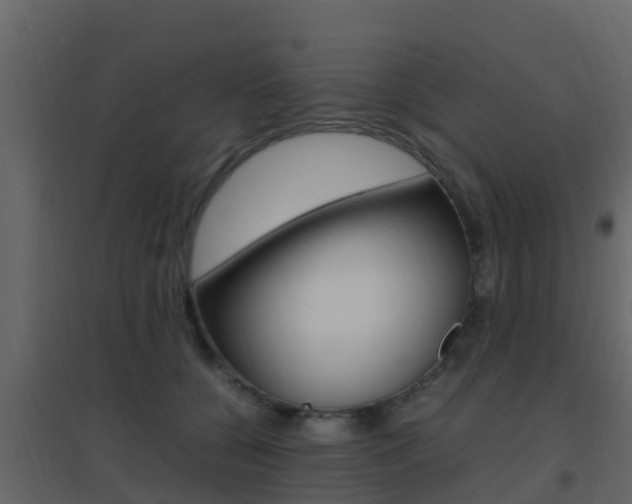 X0000096700560200802051103