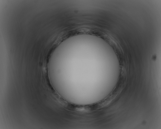 X0000096700561200802051103