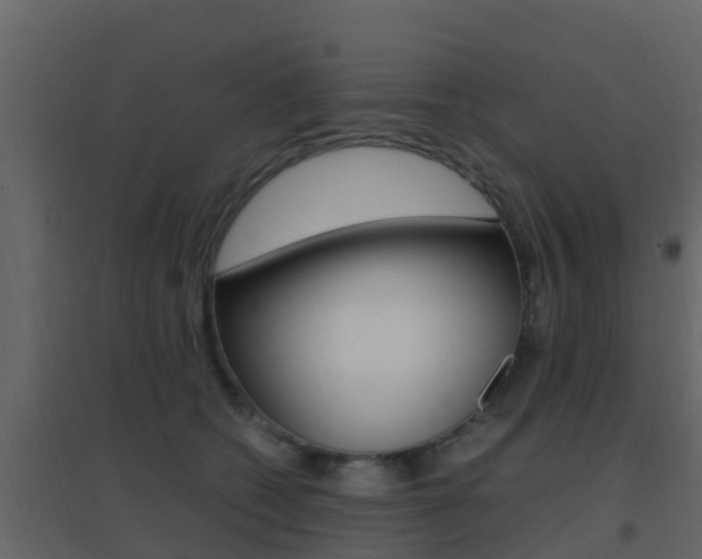 X0000096700562200802051103