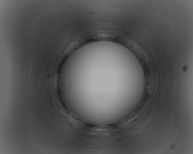 X0000096700563200802051104