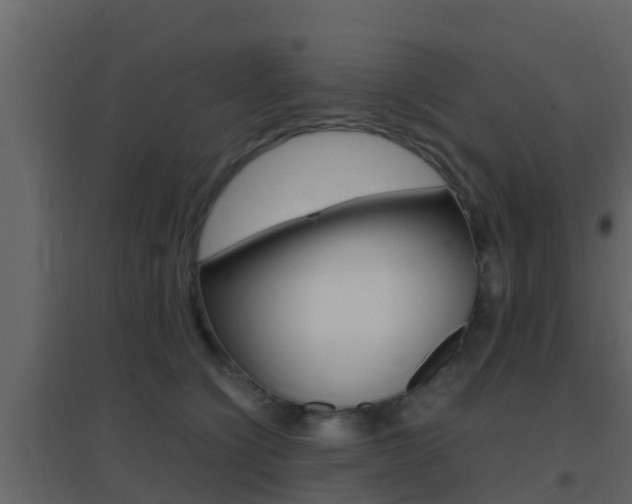 X0000096700564200802051104