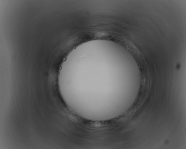X0000096700565200802051104