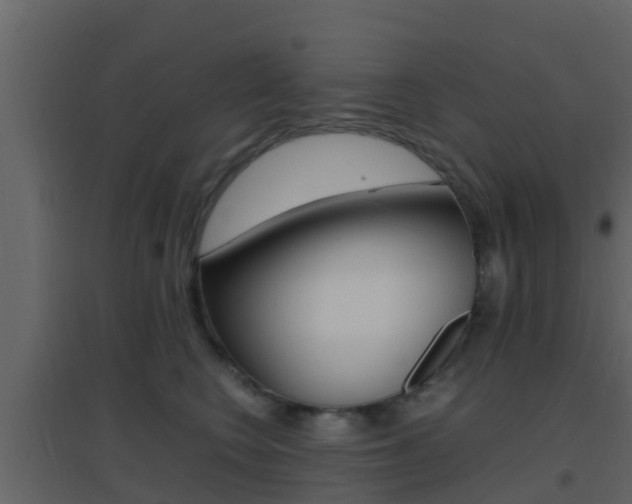 X0000096700566200802051104