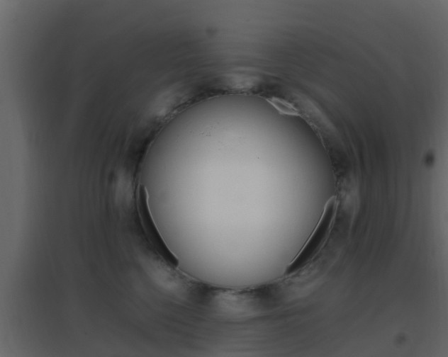 X0000096700568200802051104