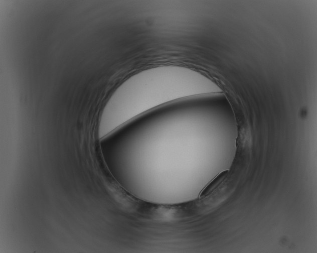 X0000096700570200802051104