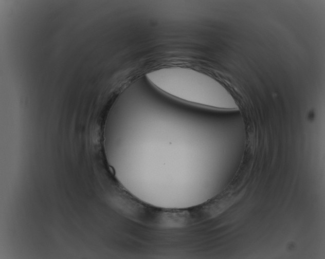 X0000096700571200802051104