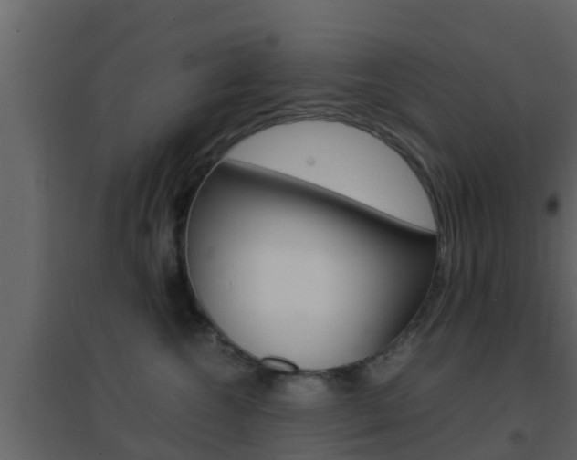X0000096700572200802051104