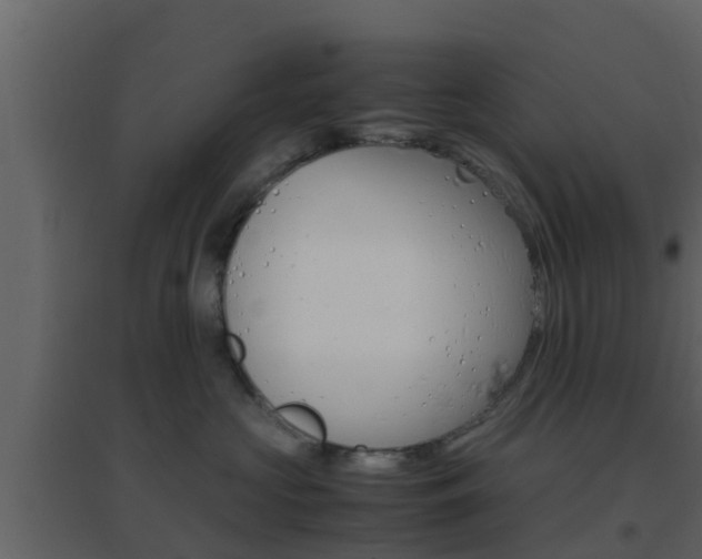 X0000096700573200802051104