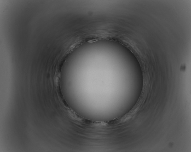 X0000096700576200802051104