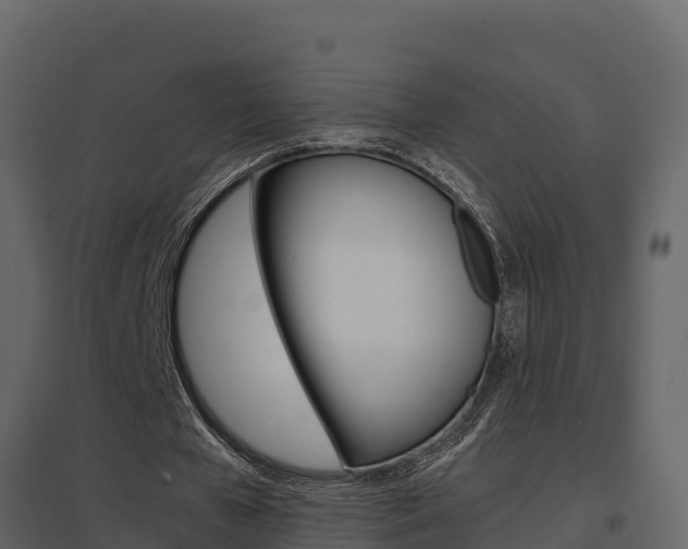 X0000096700577200802051103