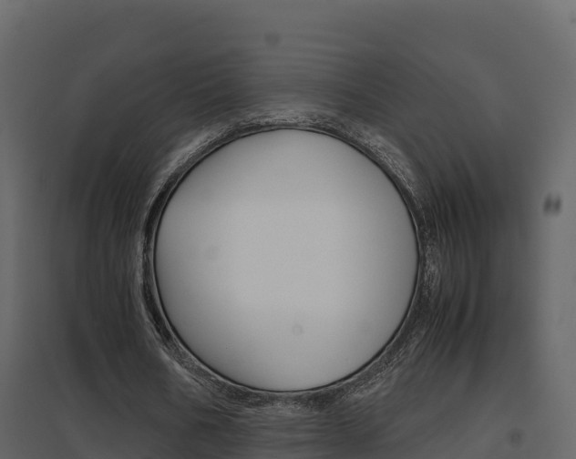 X0000096700578200802051103