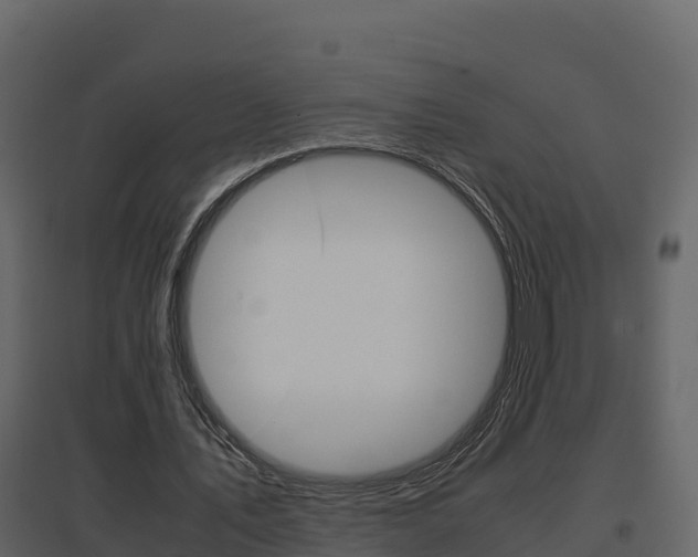 X0000096700579200802051103