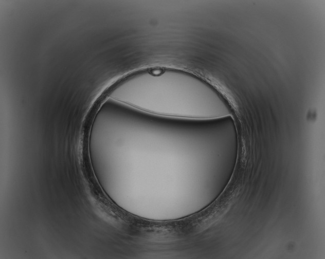 X0000096700580200802051103
