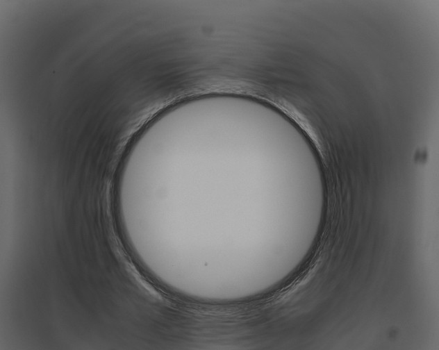 X0000096700581200802051103