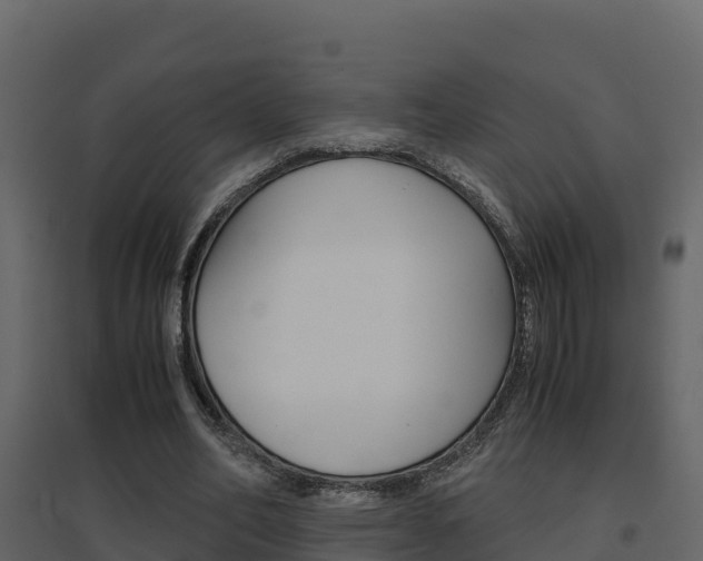 X0000096700582200802051103