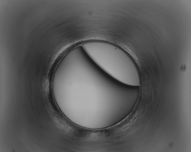 X0000096700584200802051103