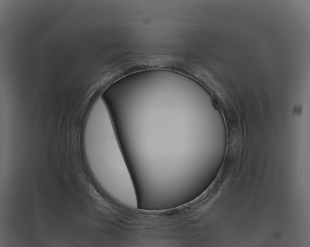 X0000096700585200802051103