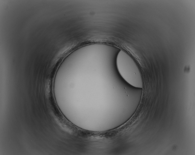 X0000096700586200802051103