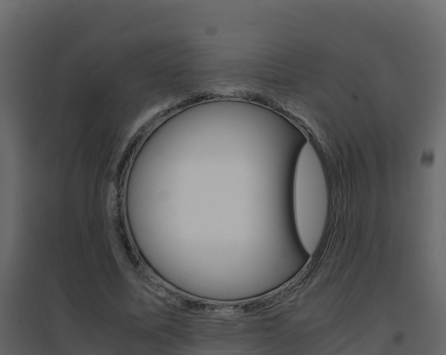 X0000096700587200802051103