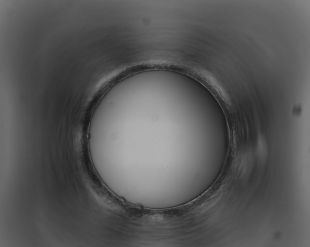X0000096700588200802051103
