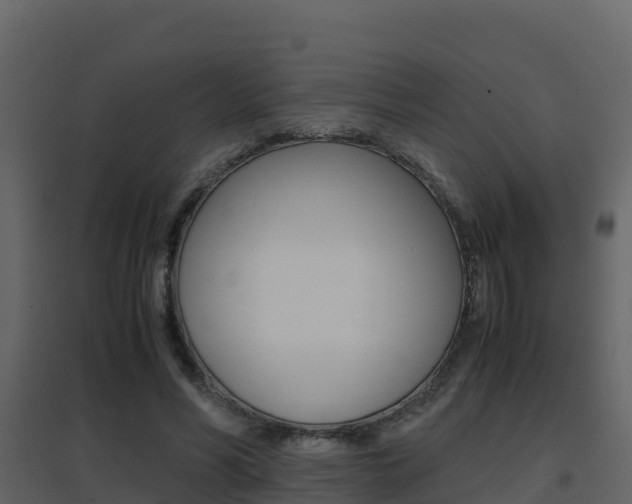 X0000096700590200802051103