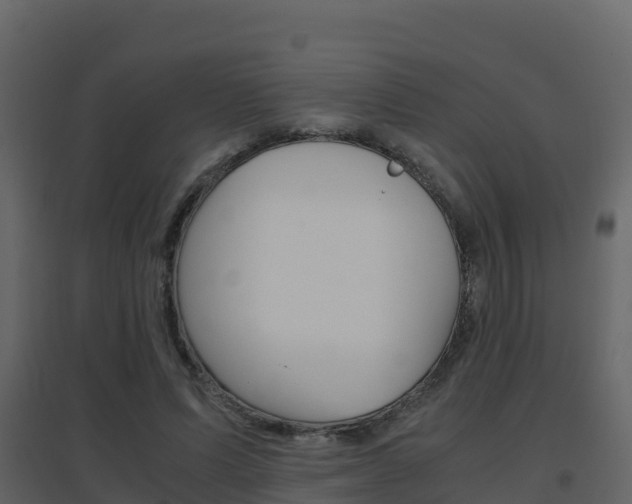 X0000096700591200802051103