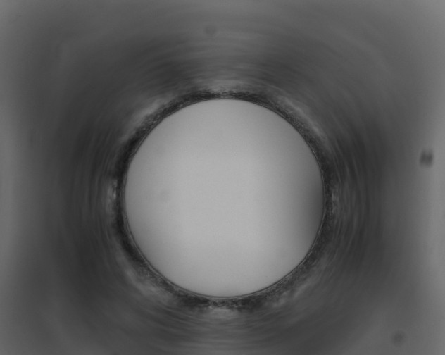 X0000096700592200802051103