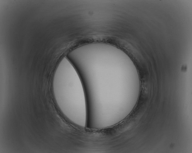 X0000096700593200802051103