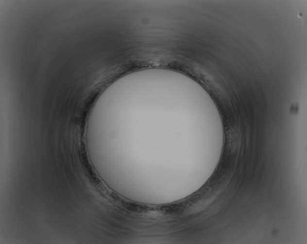 X0000096700594200802051103