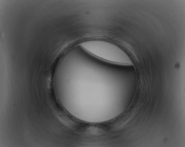 X0000096700596200802051103