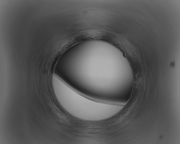 X0000096700597200802051103