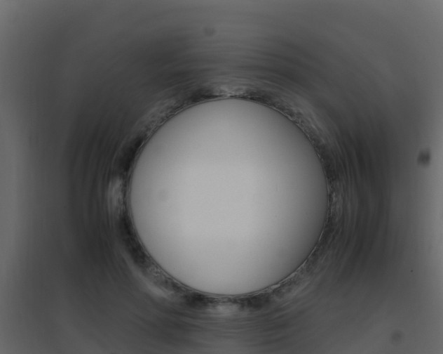 X0000096700598200802051103